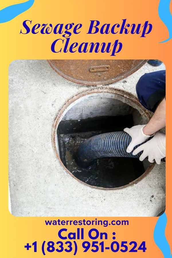 Sewage Backup Cleanup in Marietta, NC